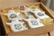 Small Halloween Sayings Cookie Stencils | C574 by Designer Stencils | Cookie Decorating Tools |